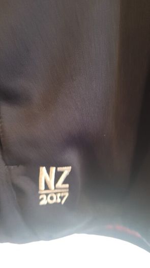 Lions Rugby top half-zip top