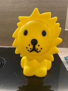 Lion First Light - Mr. Maria