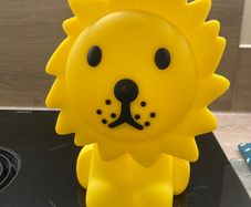 Lion First Light - Mr. Maria