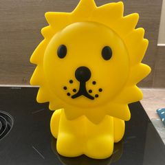 Lion First Light - Mr. Maria