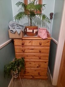 Pine chest of drawers