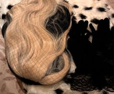 Cruella De Vil - Halloween Costume - Wig, Gloves and Dalmatian Shawl