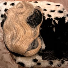 Cruella De Vil - Halloween Costume - Wig, Gloves and Dalmatian Shawl