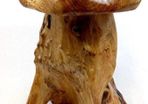 Rustic Solid teak root mini stool/table (FREE POSTAGE)