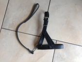 Leather Sheep Halter