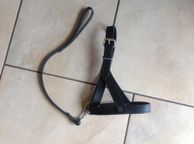 main image for ad Leather Sheep Halter