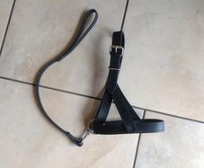 Leather Sheep Halter