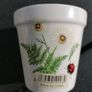 Candle Best Teacher History and Heraldry Stoneware Image 2