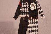 Halloween Costume Evil Jester