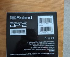 roland pedal dp2 switch