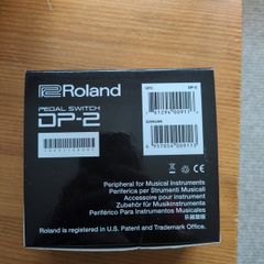roland pedal dp2 switch