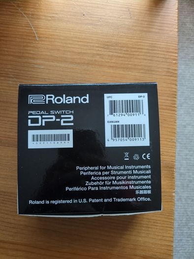 roland pedal dp2 switch