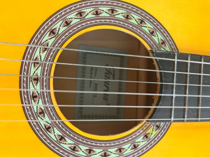 Acoustic Guitar