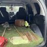 Jeep Image 2