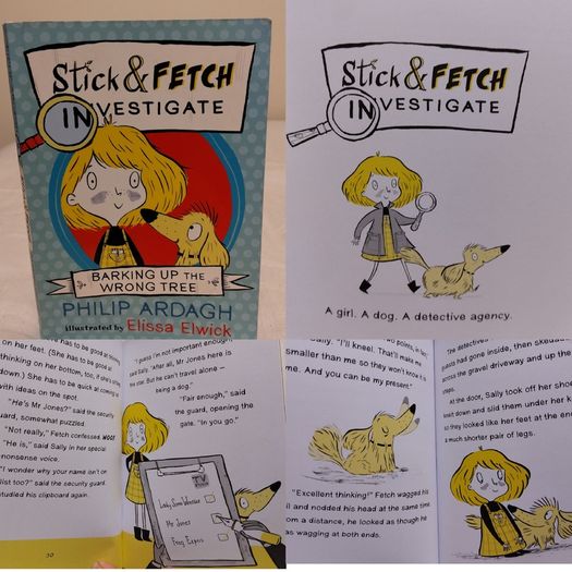 Stick and Fetch Investigate by philip Ardagh