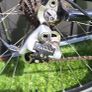 Road bike Small Image 2