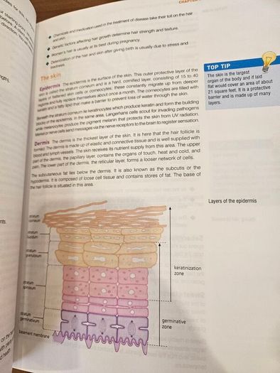 Hairdressing & Barbering The Professional Official Guide To Level 3. Large Volume Paperback In Good Condition.  See Photos For Same.
