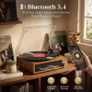 3-Speed Bluetooth Record Player Turntable, Built-In Speakers, RCA  AUX, 33/45/78 RPM, Fits 7, 10 & 12 Vinyl Records, Anti-Skip Stylus for Beginners & Retro Fans Image 4