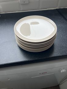 Dinner plates