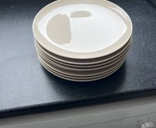 Dinner plates
