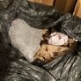 Free moving boxes and packing material Image 3