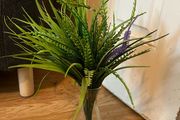 Quick Sell plant