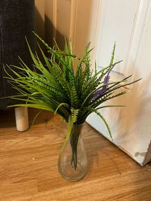 Quick Sell plant