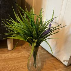 Quick Sell plant