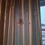 Mama and Papas Curtains Image 4