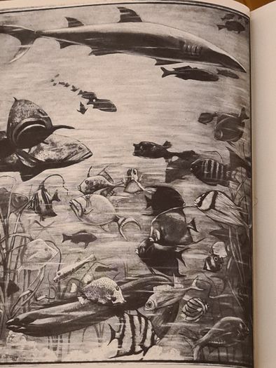 Book Of The Seven Seas By Peter Freuchens. Hardback  Dustjacket 512 Pages LARGE VOLUME BOOK.