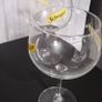 Two Gin glasses Image 2