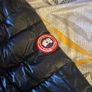 canada goose hybrid Image 2