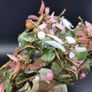 Chinese Vintage Glass Cherry Blossom Bonsai Tree Image 6