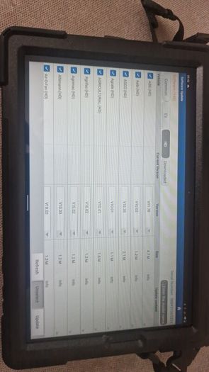 diagzone Pro diagnostic