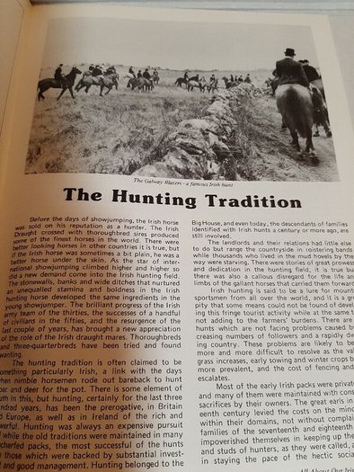 Our irish horses 1980's
