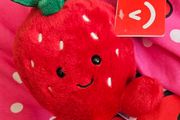 Strawberry Plushie / Teddie