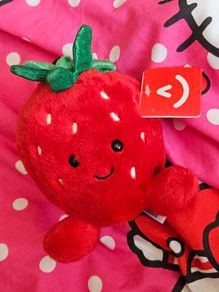 Strawberry Plushie / Teddie