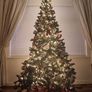 Christmas tree Image 2