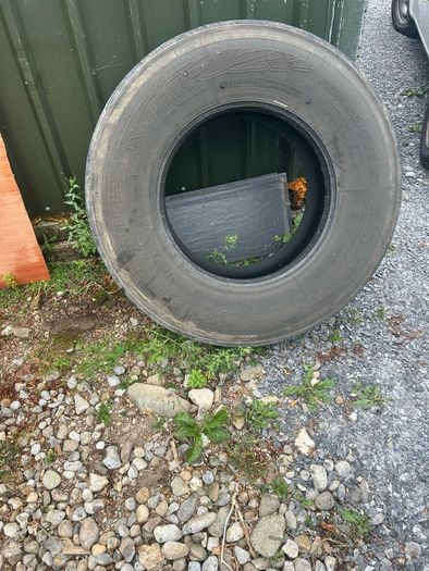 8 stud 900/20