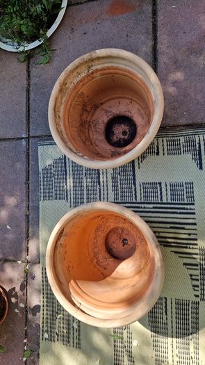 Terracotta urns