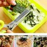 Kitchen Tools- Measuring Spoon/Cutting Scissors Image 2