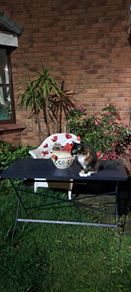 French Garden Table Steel