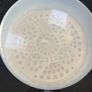 Tommee Tippee Microwave Steriliser Image 2