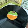 Led Zeppelin - Led Zeppelin II (Irish Press) Image 2