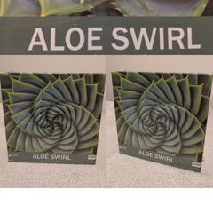 Aloe Swirl Mindfullness Jigsaw Puzzle, New in box