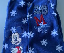 Disney All in One (6-9 months)