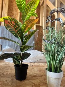 Artificial plants