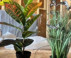 Artificial plants