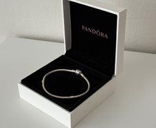Pandora Moments Bracelet Size 19