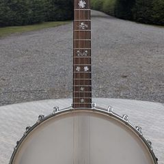 Tenor Banjo - Gold Tone IT17
